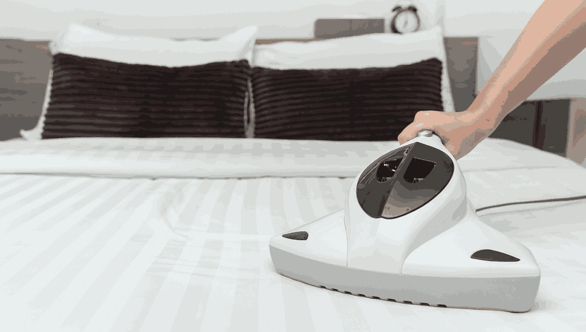Professional Mattress Cleaning Rangeview